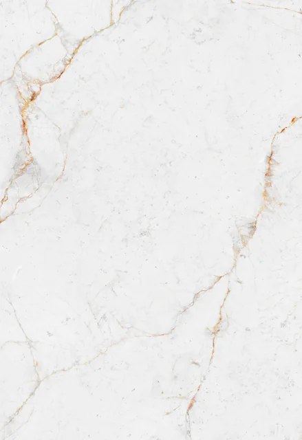 Abu Dhabi White — NEOLITH — ფილის ფოტო