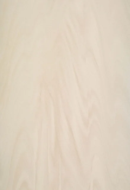 Arena — NEOLITH — ფილის ფოტო