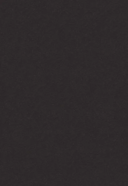 Nero Zimbabwe — NEOLITH — ფილის ფოტო